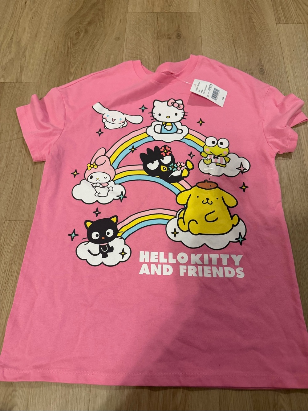 Hello Kitty and Friends Pink Graphic Tee adult small